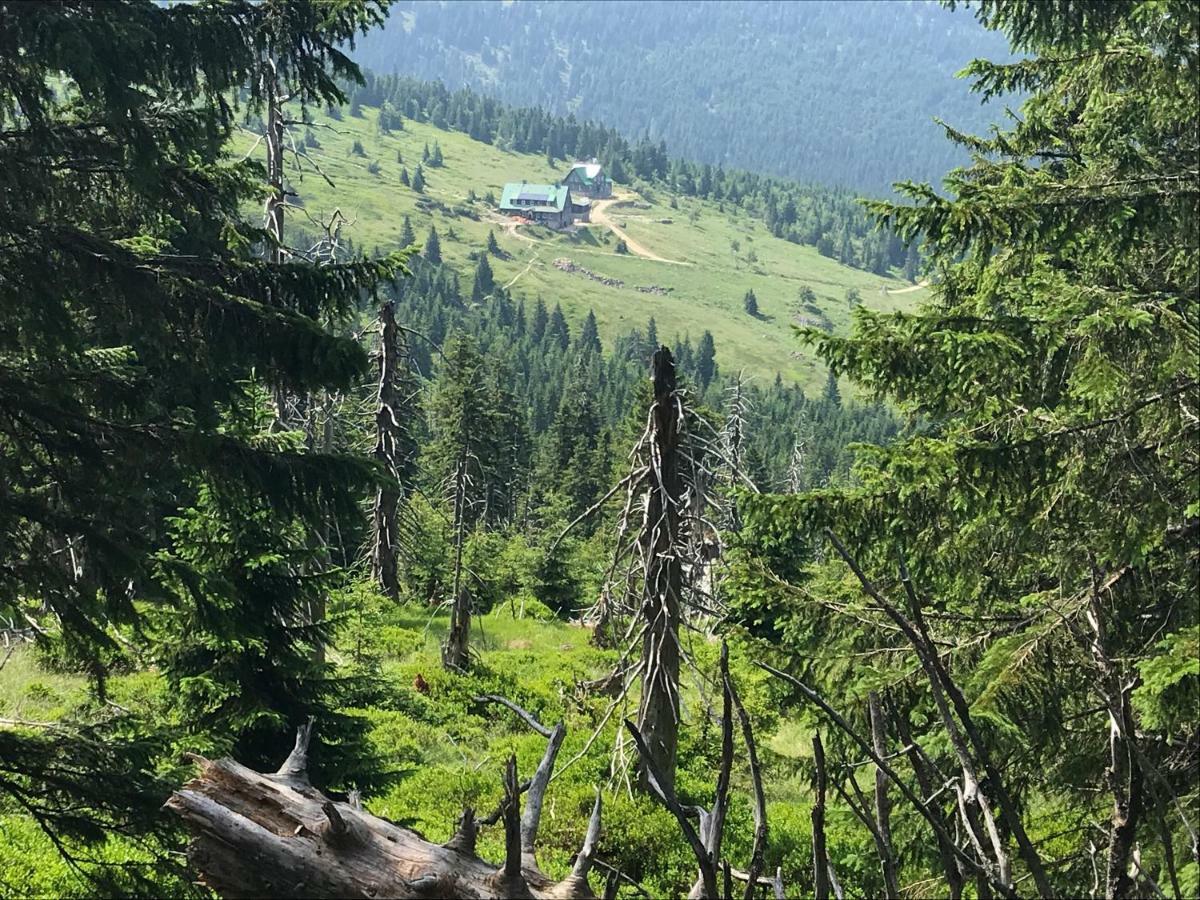 Apartament Rest & Ski Sklářská Poruba Exteriér fotografie